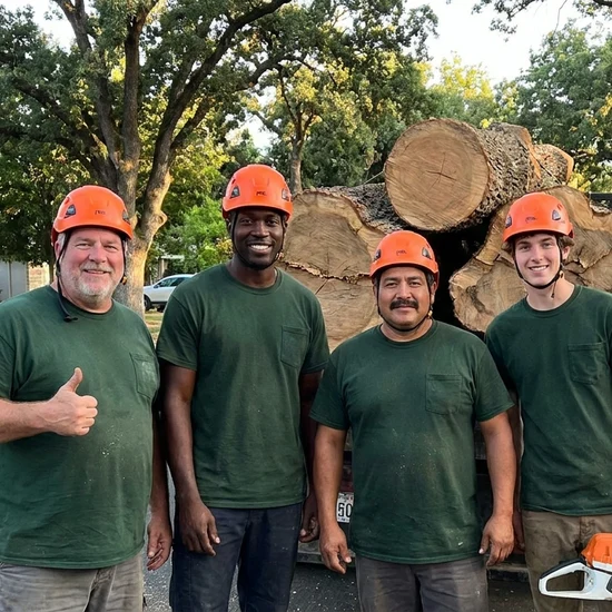 HLI tree crew with a truck loaded with oak logs in Irvine