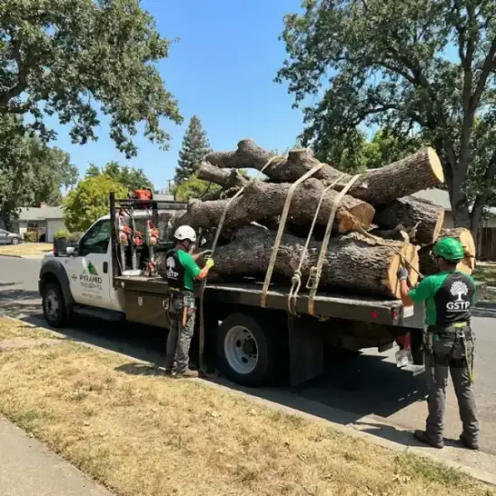 Tree service truck loaded with branches after a Irvine job